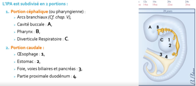 Capture d'écran 2024-03-11 105835.png