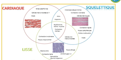 Capture d'écran 2024-03-11 172316.png