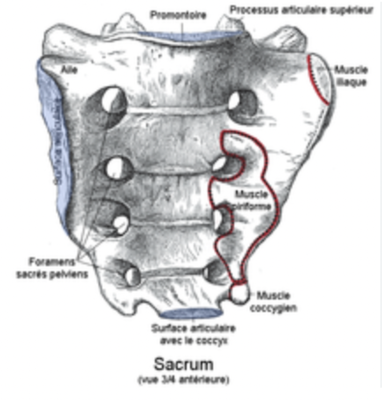 Capture d’écran 2024-03-12 à 14.06.06.png