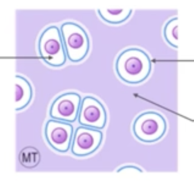 Capture d’écran 2024-03-12 à 14.38.09.png