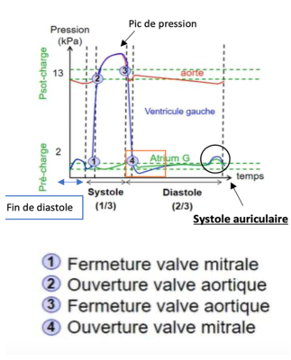 Capture d’écran (333).png