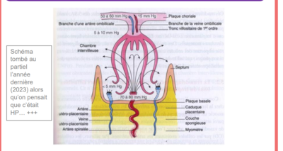 Capture d'écran 2024-03-13 193621.png