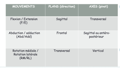Capture d’écran 2024-03-13 à 21.17.43.png