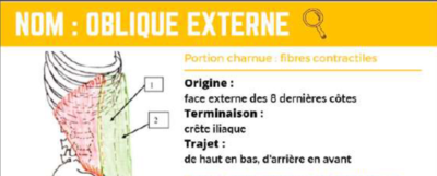 Capture d'écran 2024-03-14 213719.png