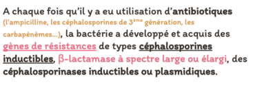 Capture d’écran 2024-03-15 à 00.15.30.png