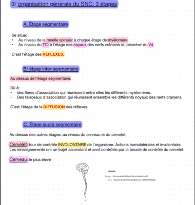 Capture d'écran 2024-03-16 204933.png