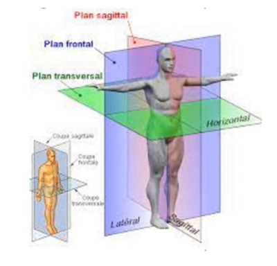 Capture d’écran 2024-03-19 à 16.38.49.png