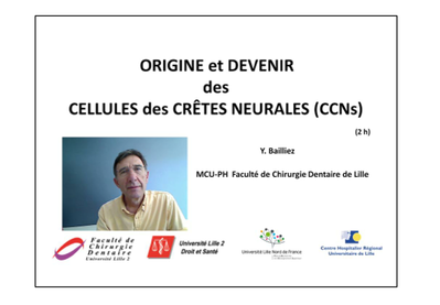 Capture d’écran 2012-04-03 à 20.22.51.png