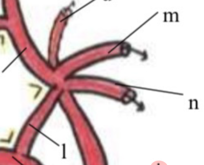 Capture d'écran 2024-03-20 132616.png