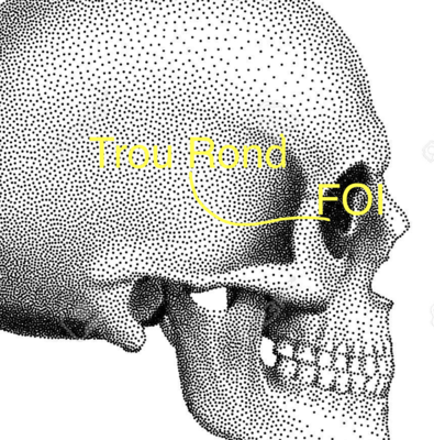 Capture d’écran 2024-03-20 à 19.03.11.png