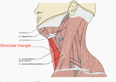 Capture d’écran 2024-03-20 à 20.42.20.png