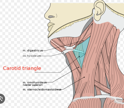 Capture d’écran 2024-03-20 à 20.48.41.png