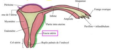 Capture d’écran 2024-03-21 à 18.02.15.png