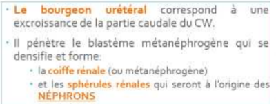 Capture d'écran 2024-03-25 222236.png