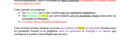 Capture d’écran 2024-03-26 à 09.11.20.png