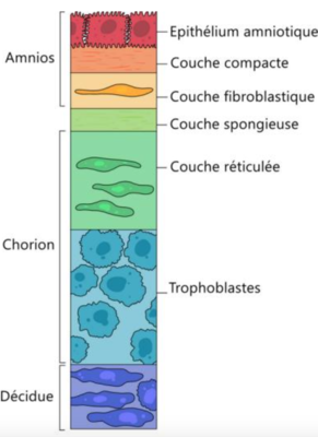 Capture d’écran 2024-03-26 à 10.58.43.png