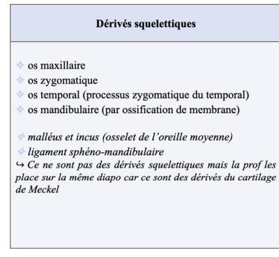 Capture d’écran 2024-03-26 à 17.42.24.png