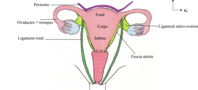 Capture d’écran 2024-03-26 à 22.32.59.png