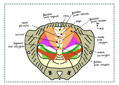 Capture d’écran 2024-03-27 à 21.56.36.png
