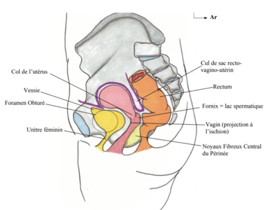 Capture d’écran 2024-03-27 à 22.07.27.png