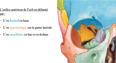 Capture d’écran 2024-03-28 à 17.21.00.png