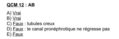 Capture d'écran 2024-03-29 125833.png