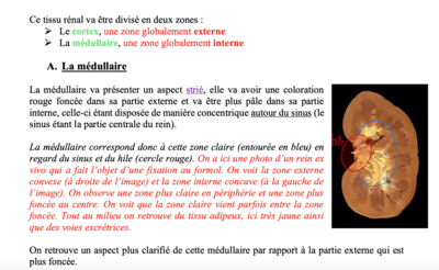 Capture d’écran 2024-04-05 à 14.27.55.png