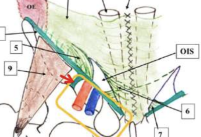 Capture d’écran 2024-04-09 à 16.35.46.png