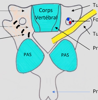 Capture d'écran 2024-04-10 123940.png