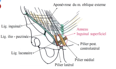 Capture d’écran 2024-04-12 à 09.09.10.png