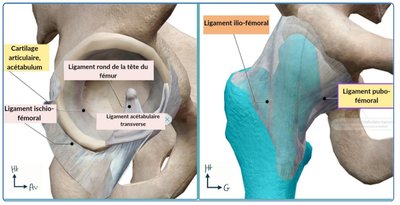 Screenshot_20240414_184316_Samsung Notes.jpg