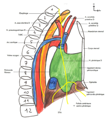 Capture d'écran 2024-02-01 004527.png