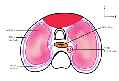 Capture d'écran 2024-01-21 115503.png