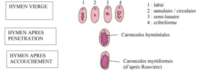 Capture d’écran 2024-04-18 à 08.49.03.png