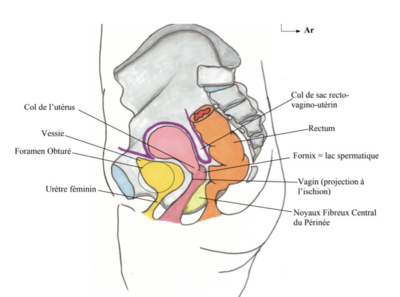 Capture d’écran 2024-04-18 à 09.45.14.png