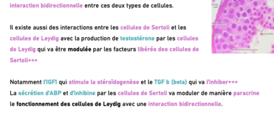 Capture d’écran 2024-04-19 à 11.05.55.png