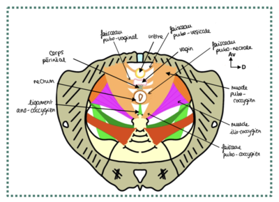 Capture d’écran 2024-04-20 à 13.02.27.png