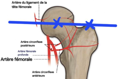 Capture d’écran 2024-04-20 à 17.51.02.png