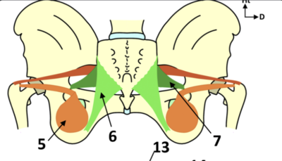 Capture d’écran 2024-04-20 à 18.02.23.png