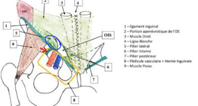 Capture d’écran 2024-04-23 à 13.08.46.png
