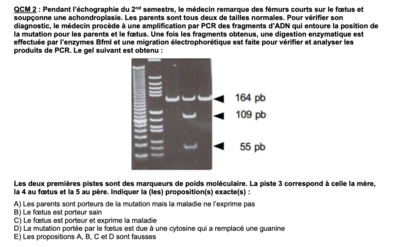 Capture d’écran 2024-06-15 à 11.43.21.png
