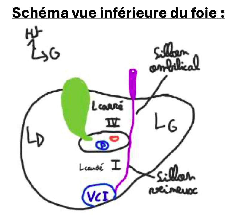 Capture d’écran 2025-01-27 à 16.46.22.png