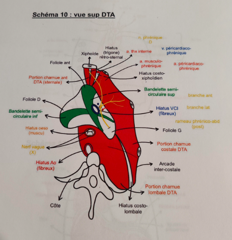 Capture d’écran 2025-01-31 à 11.23.23.png