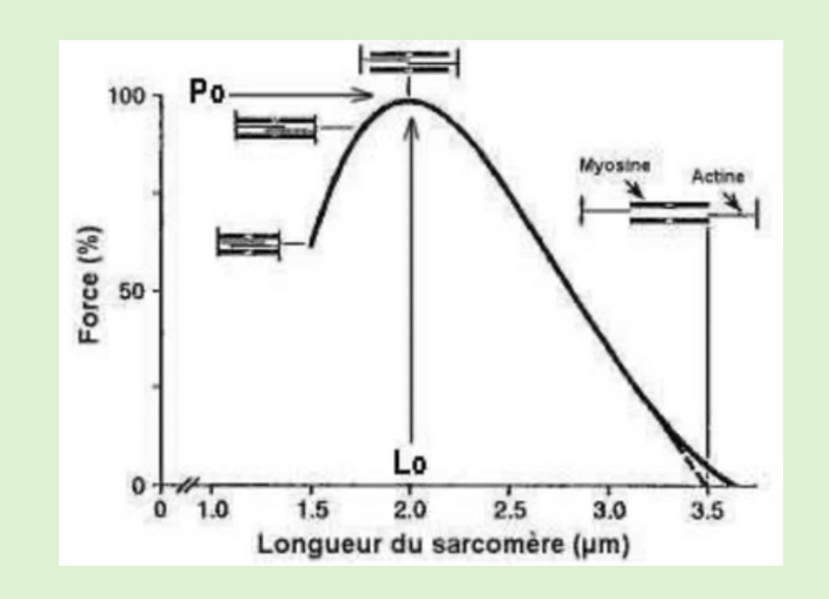 Capture d’écran 2025-02-04 à 09.22.38.png