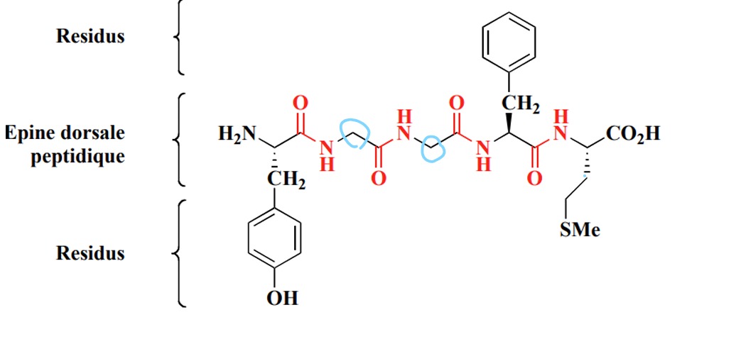 Capture d’écran_4-2-2025_11928_.jpeg