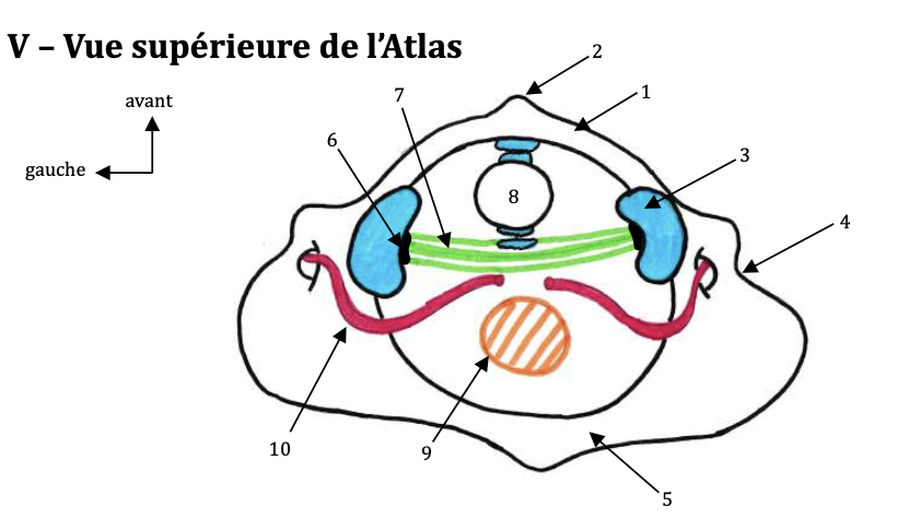 schéma présentiel.png