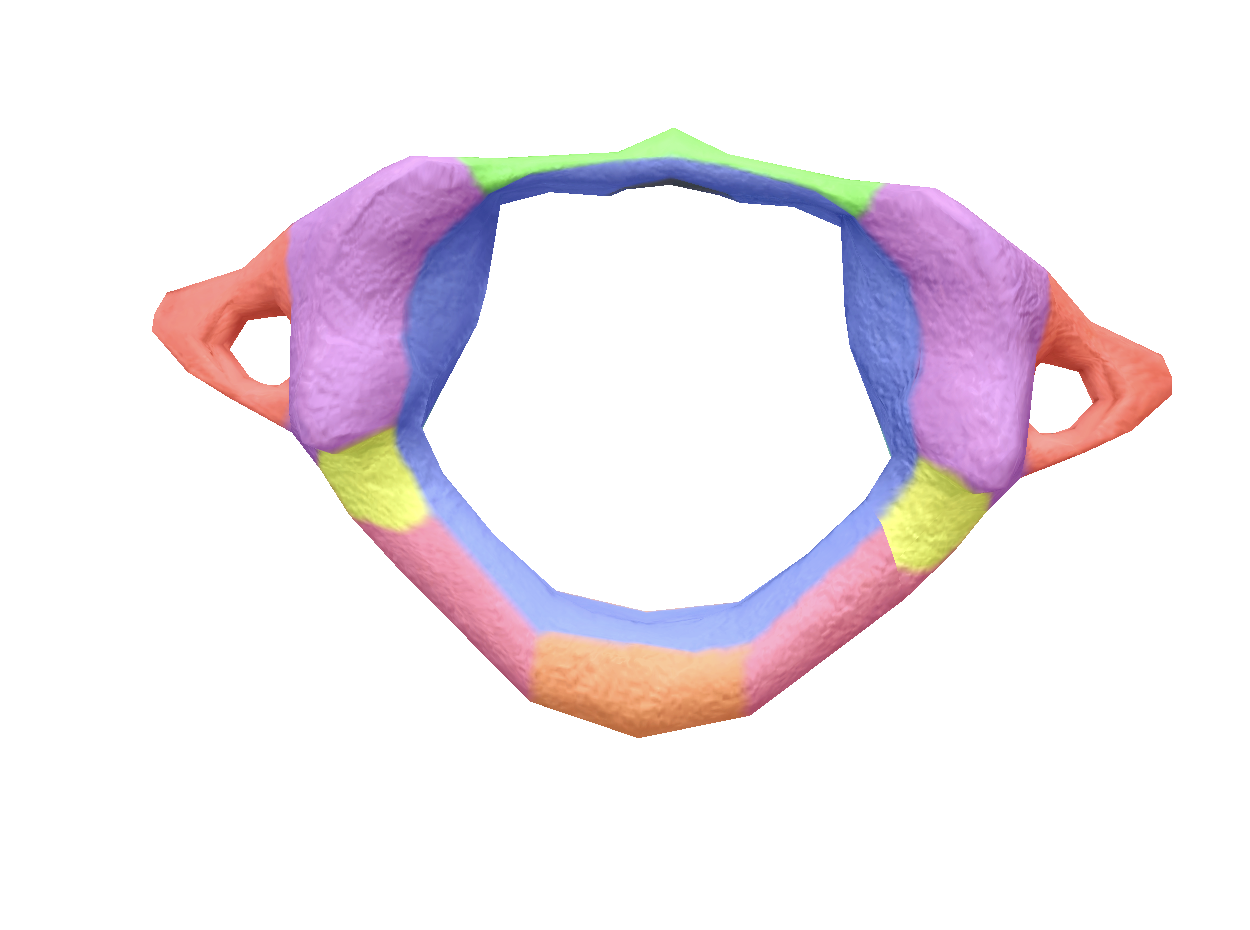 Capture d’écran 2025-02-21 à 15.43.30.png