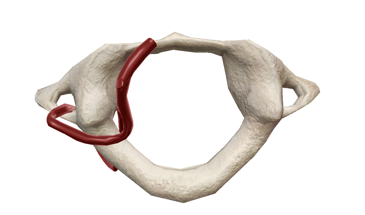 Capture d’écran 2025-02-21 à 15.45.21.png