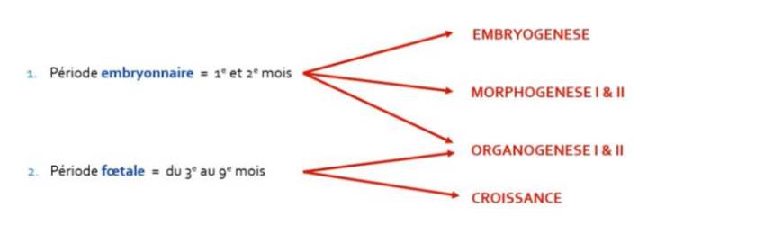 Screenshot 2025-02-21 17.06.20.png