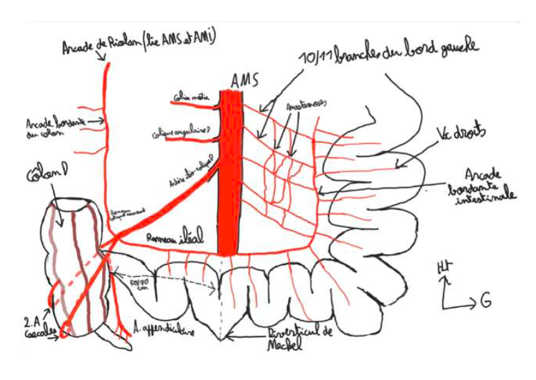 Capture d’écran 2025-03-03 à 09.59.52.png